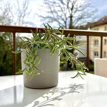 Bege Apartments: Perfect For Companies Daire