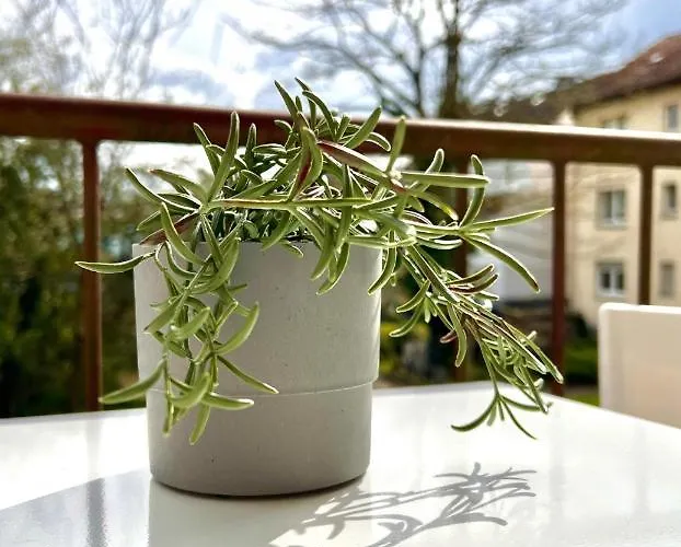 Bege Apartments: Perfect For Companies شقة